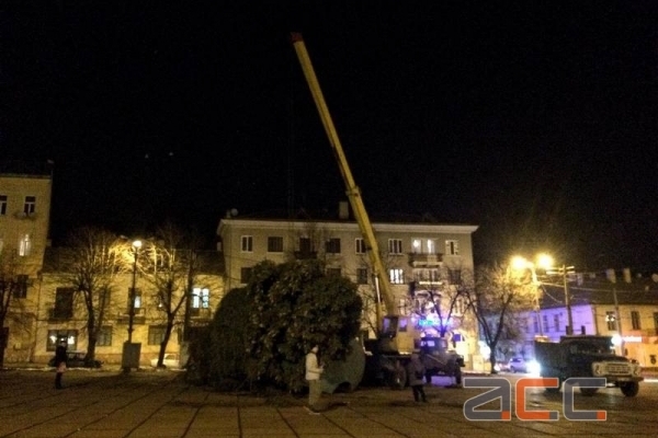 Новорічне дерево приїхало в Чернівці (Фото)