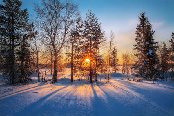 Sinoptik: Погода в Чернівцях та Чернівецькій області на вівторок, 19 грудня