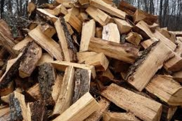 Малозабезпечені буковинці та АТОвці отримають дрова зі знесених аварійних дерев