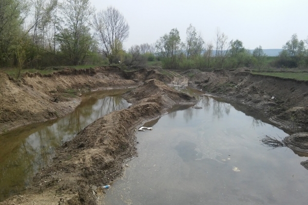Екологи Буковини нарахували мільйонні збитки