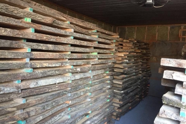На Буковині викрили схему незаконних оборудок з лісодеревиною