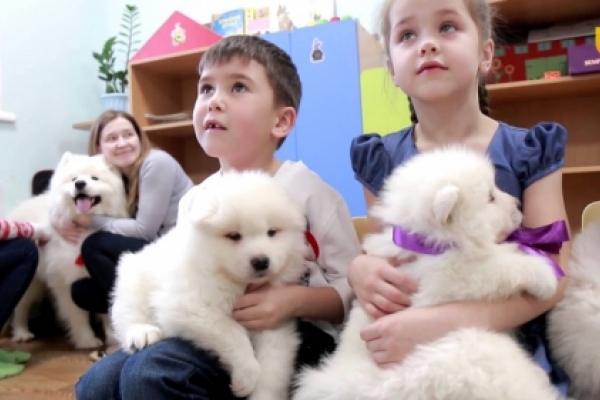 На Буковині дітей з ДЦП лікуватимуть за допомогою собак