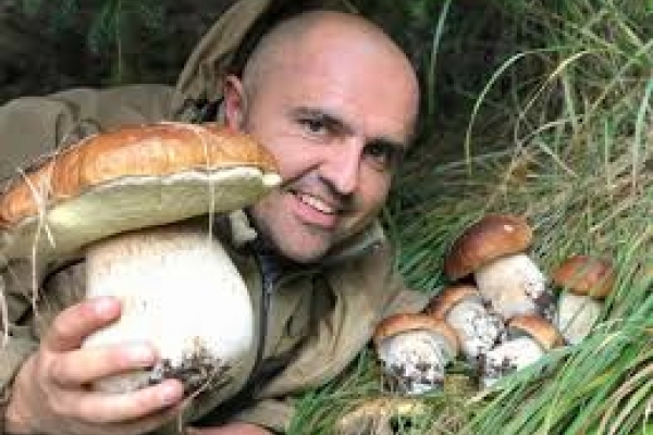 Чернівчанам на замітку: які гриби не варто їсти і чому