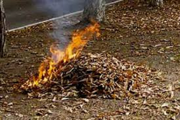 Чернівчан застерігають: спалювати сухі рослинні залишки заборонено!