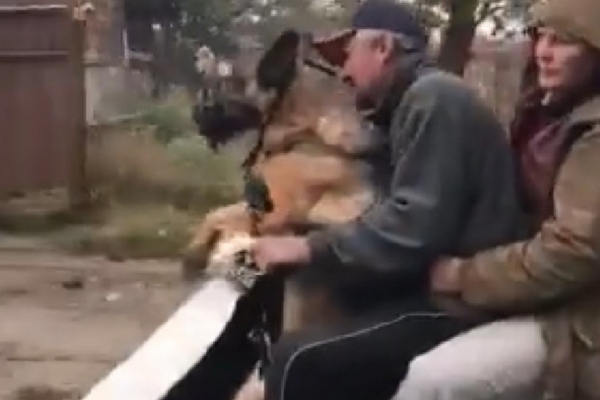 Мережу розсмішило кумедне відео із собакою на мопеді в Чернівцях