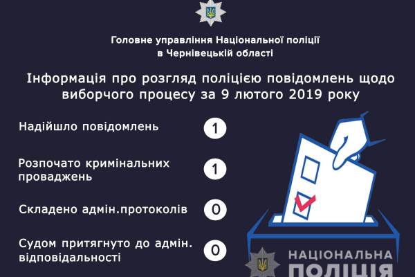 Поліція Буковини повідомляє щодо порушення виборчого процесу (Відео)