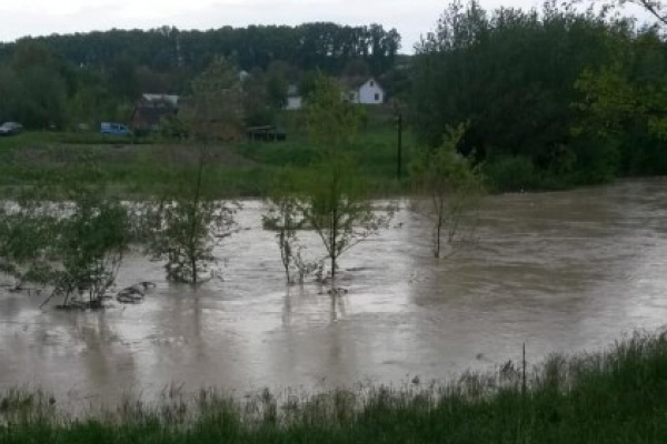Через негоду затопила село Великий Кучурів на Буковині (Фото, відео)