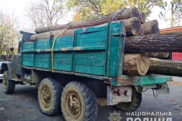 На Буковині затримали вантажівку з деревиною