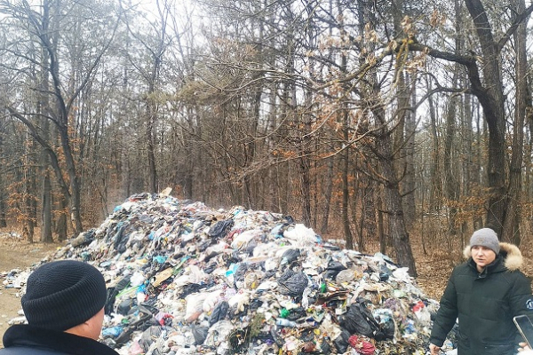 На Буковині посеред лісництва опинилося львівське сміття