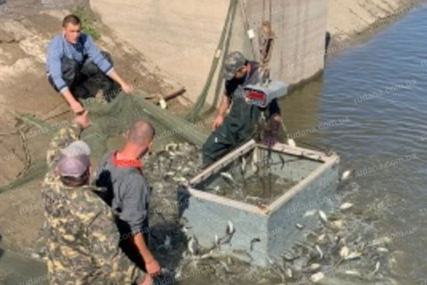 Роботу Управління Державного агентства рибного господарства у Чернівецькій області перевірять