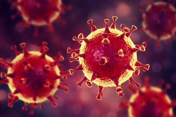 Оголошено благодійний збір коштів на боротьбу з коронавірусом у Чернівцях