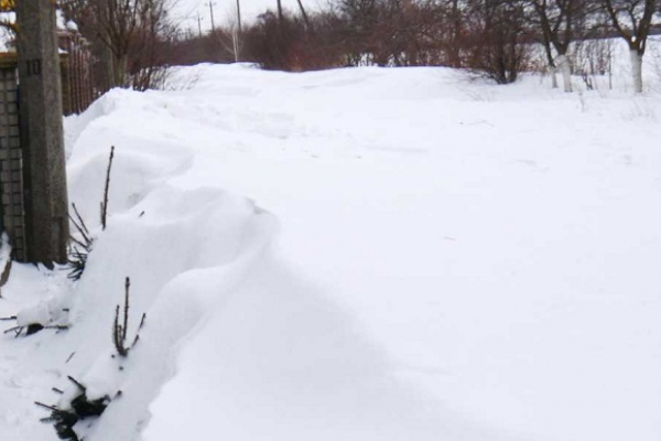 Десятки будинків на Буковині ізольовані через снігові замети (відео)