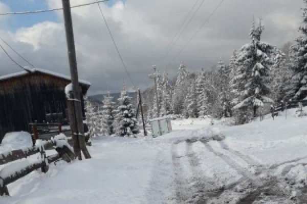 Сильний мокрий сніг очікується у Чернівцях та області 16 березня