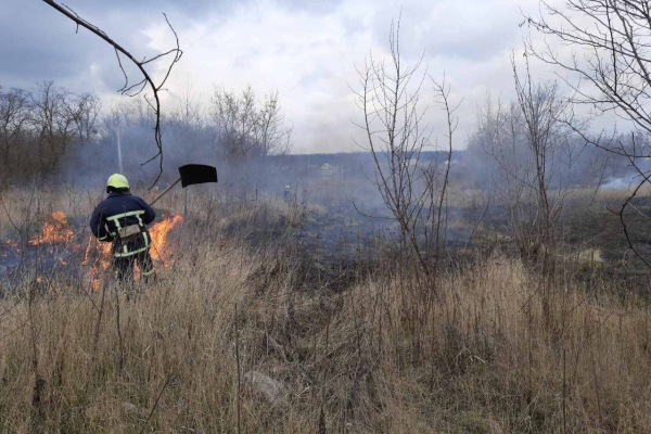 У Чернівецькій області за добу внаслідок пожеж знищено п'ять гектарів сухої трави 