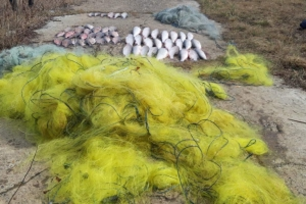 Браконьєри на Дністровському водосховищі незаконно наловили риби і завдали збитків на чветьмільйона гривень