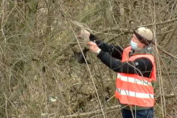 Чернівецький оператор врятував на сміттєзвалищі пташку, яка заплуталася в поліетилені
