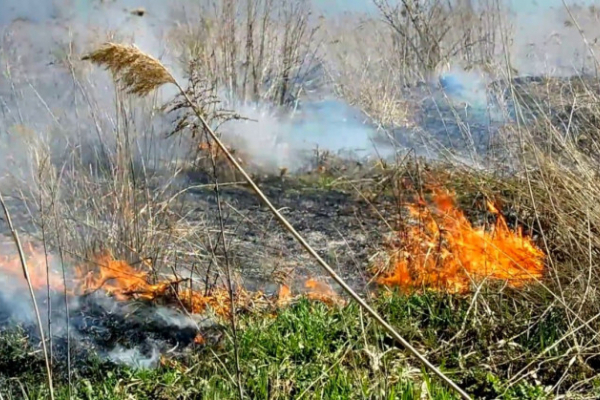 Вогнеборці закликають буковинців не спалювати суху траву