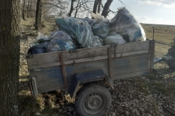 За три дні з Берестянського лісу на Новоселиччині вивезли десять тонн сміття