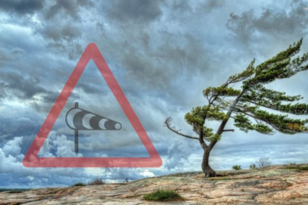 Гроза та шквальний вітер: на Буковині очікують на погіршення погоди