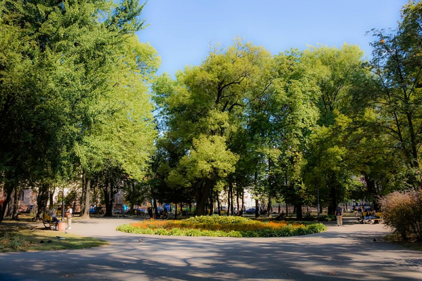 Чернівецька міськрада оголосила публічні консультації щодо благоустрою скверу «Дня Вишиванки»