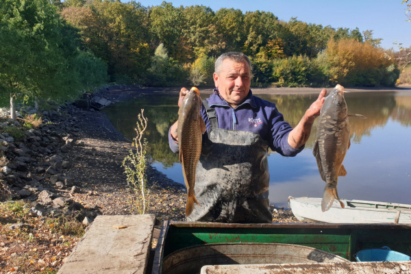 Лісівники Сокирянщини реалізували чотири тонни риби і заробили майже 200 тисяч гривень