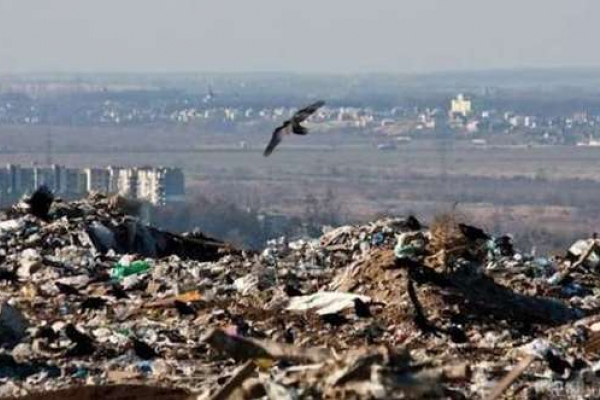 Роздільний збір сміття запроваджують у Чернівцях. Як це працює