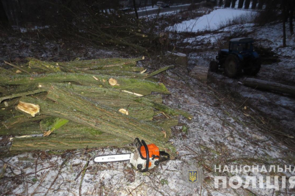 У лісництві на Буковині троє чоловіків без дозволу вирубували акації 