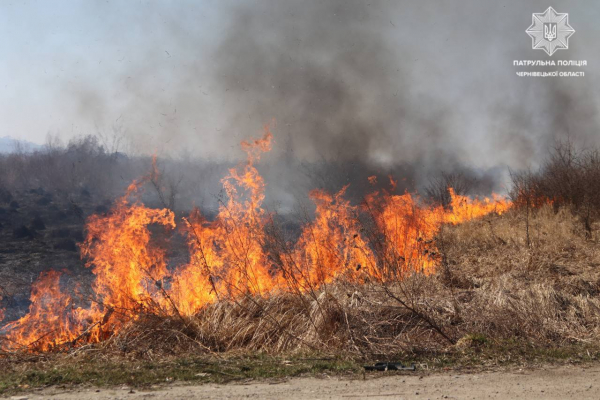 За останні кілька днів через необачність буковинців вигоріло 22 гектари сухої рослинності