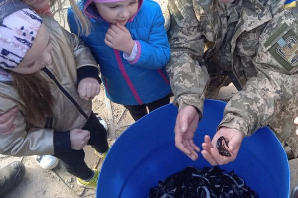 У басейн Середнього Дністра випустили дві тисячі мальків стерляді (ФОТО)