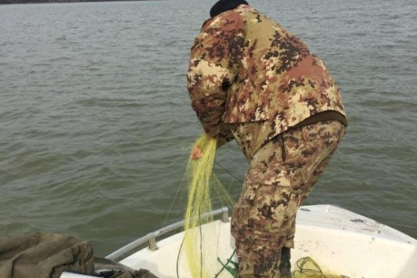 На Буковині чоловік незаконно виловив риби на понад 14 тисяч гривень