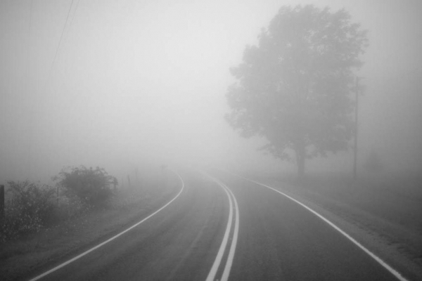 Буковину накриє густий туман: попереджають про можливі порушення руху транспорту