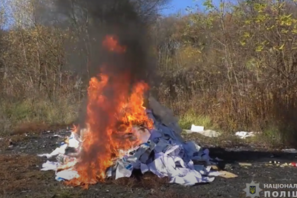 На Буковині поліцейські  спалили наркотики на 2 мільйони гривень (відео)