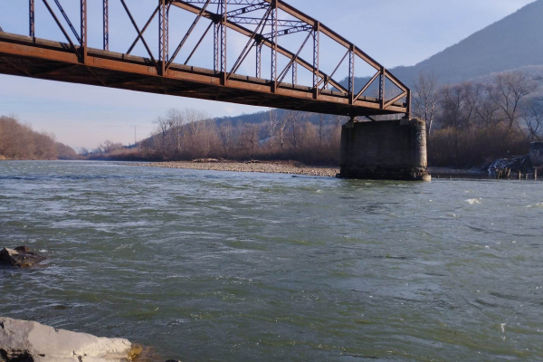 У річці Тиса виявили труп чоловіка, який, ймовірно, намагався втекти від мобілізації