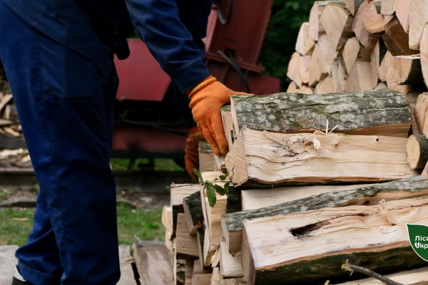 Дрова під хату: буковинські лісівники пропонують новий сервіс (ФОТО)