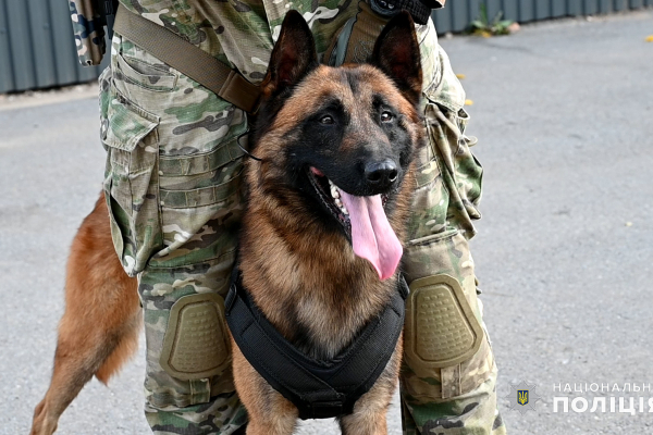 Найкращий пес-спецпризначенець служить у буковинській поліції (ФОТО)