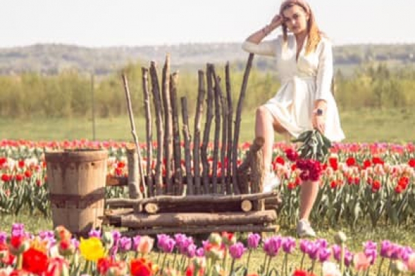 У Мамаївцях відкрили тюльпанове поле: яка вартість квитків (ФОТО, ВІДЕО)