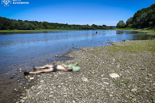 У Дністровському районі в річці втопилися двоє дітей, одного юнака вдалося врятувати