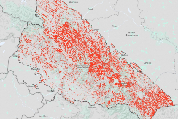 NGL.Media: в українських Карпатах за 20 років вирубали майже 10% усього лісового покрову