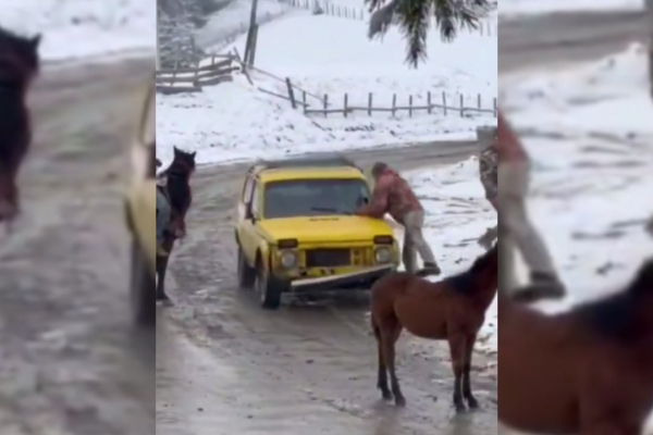 Буковинцям, які наїхали на працівників ТЦК та напали на них із сокирами, призначили по понад три роки ув'язнення