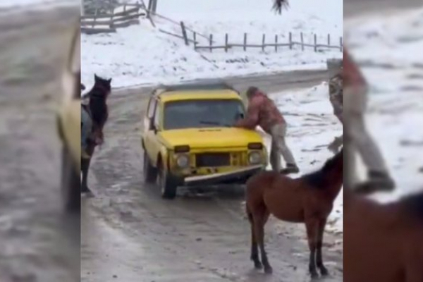 Суд змінив покарання буковинцям, які наїхали на працівників ТЦК та напали на них із сокирами