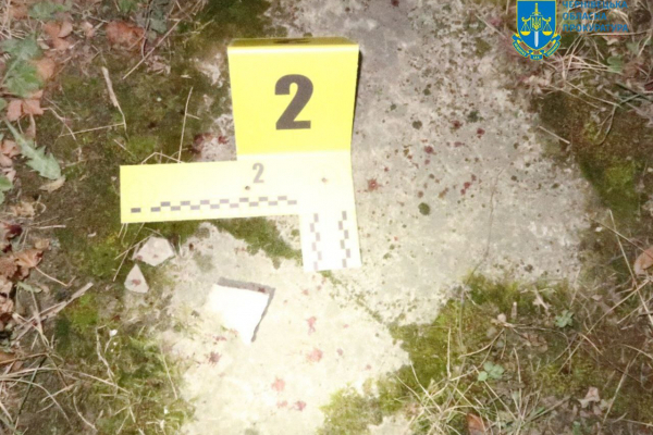 Жителя Вижницького району судитимуть за умисне вбивство